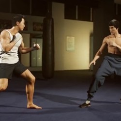 Donnie Yen VS Bruce Lee
