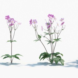 Modelos 3D Gratis CLXVIII | Plantas