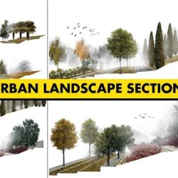 Cómo crear secciones para paisajismo con SketchUp y Photoshop