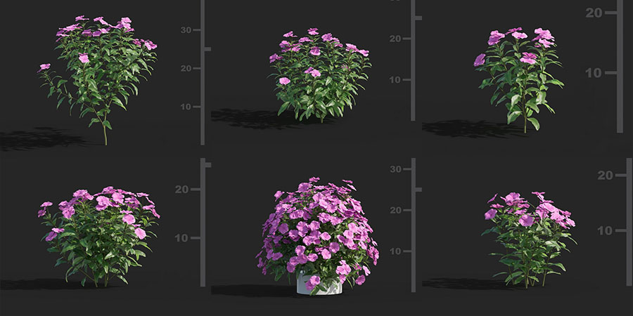 Free 3d Models Dcxviii Plants Ejezeta