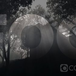 How to create god rays with Corona Renderer