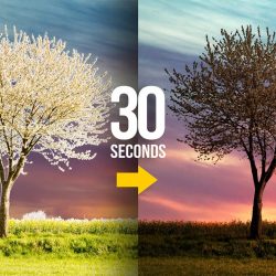 Remove halos in 30 seconds with Photoshop!