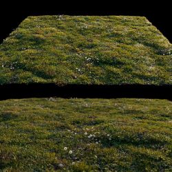 Free 3D Models DCLXII | Grass